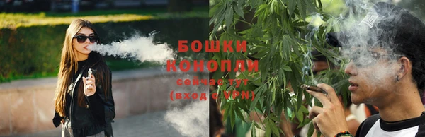 кокс Вяземский