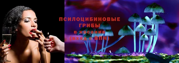 кокс Вяземский