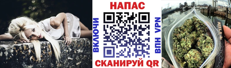 Марихуана ГИДРОПОН  кракен зеркало  Южно-Сухокумск  купить наркотики сайты 